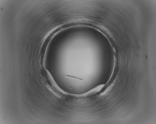 X0000073750830200608031427