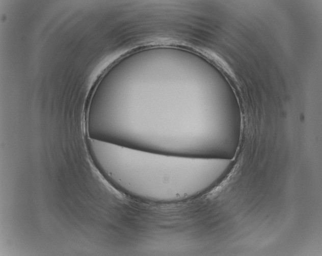 X0000073750839200608031427