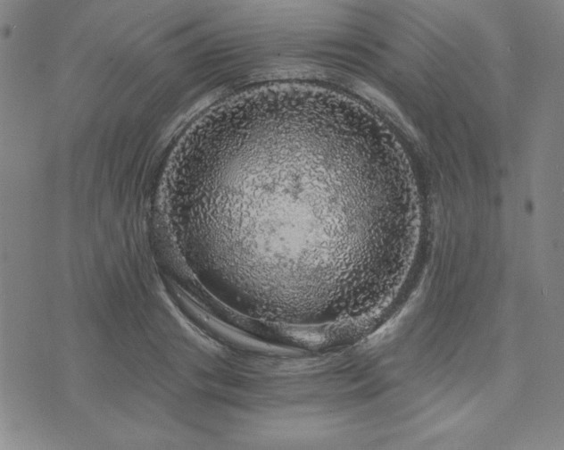 X0000073750841200608031427