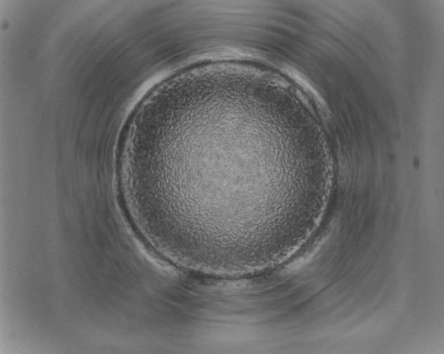 X0000073750845200608031427