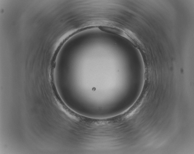 X0000073750846200608031427