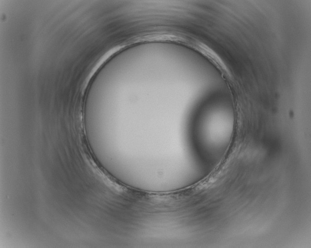 X0000073750852200608031427