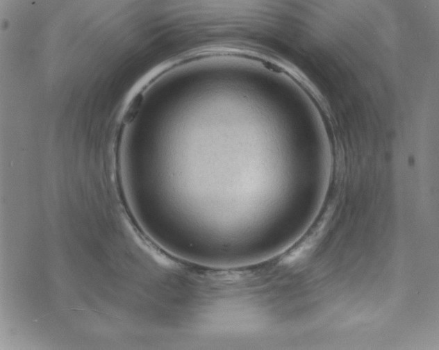 X0000073750862200608031427