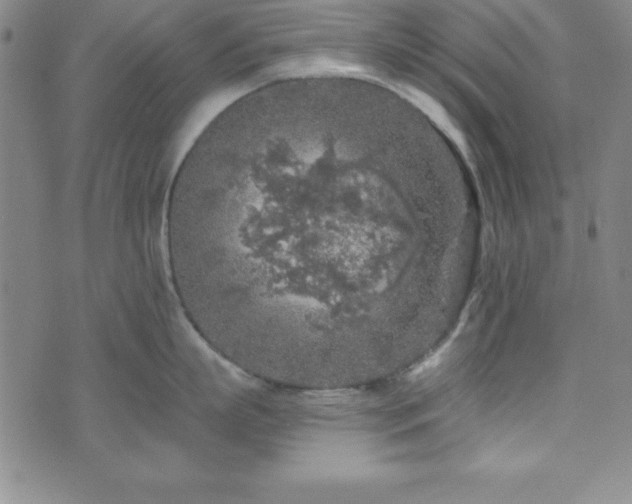 X0000073750863200608031427