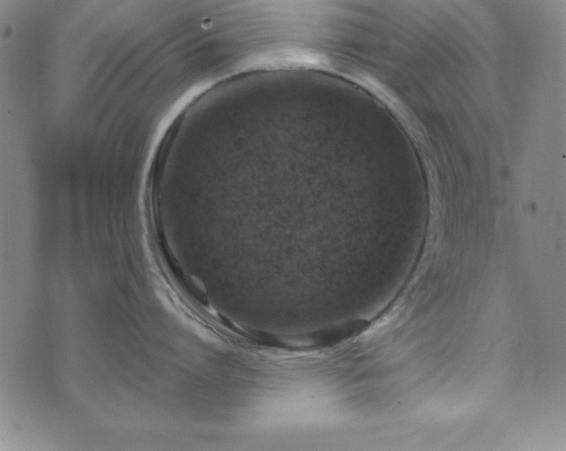 X0000073750864200608031427