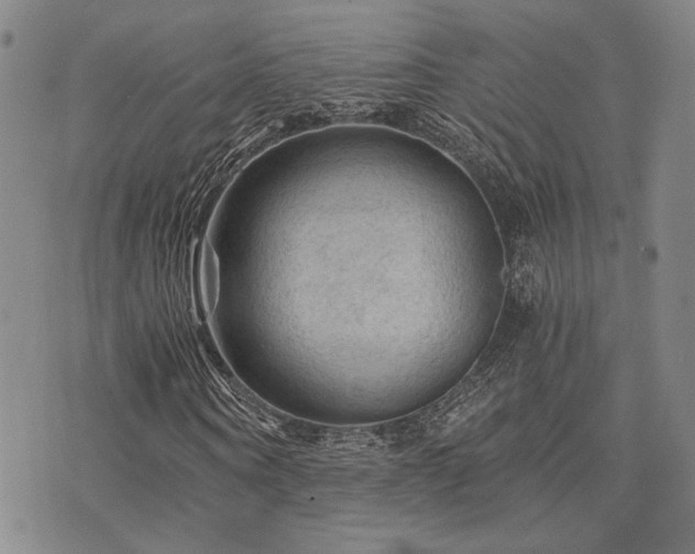 X0000073750866200608031427