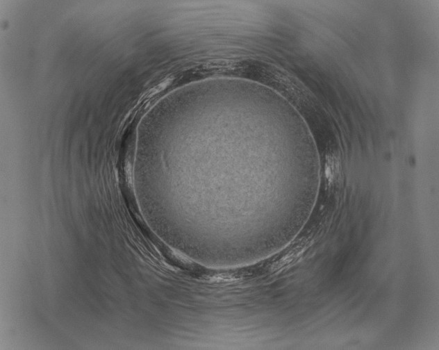 X0000073750867200608031427