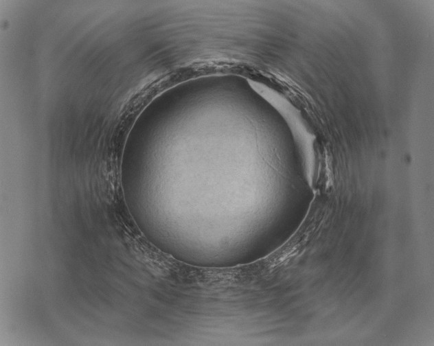 X0000073750870200608031427