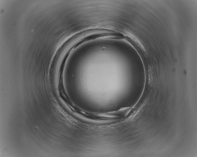 X0000073750876200608031426