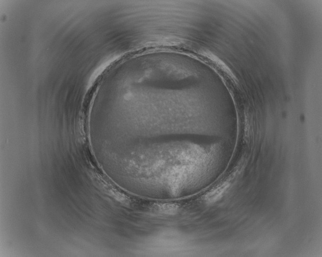 X0000073750878200608031426