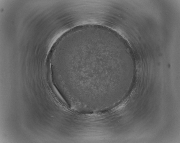 X0000073750879200608031426