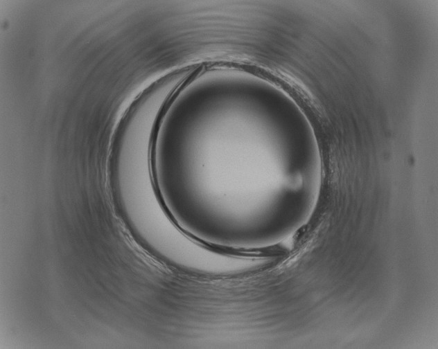 X0000073750880200608031426