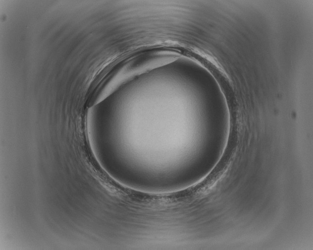 X0000073750881200608031426