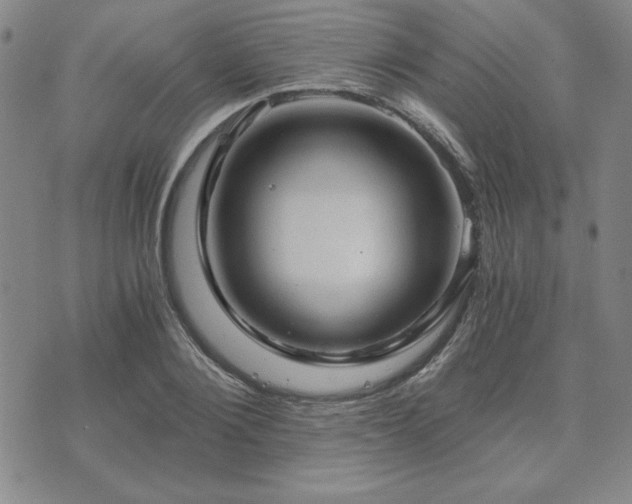 X0000073750884200608031426