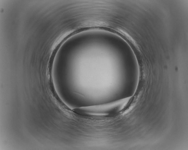 X0000073750885200608031426