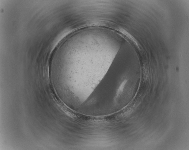 X0000073750886200608031426