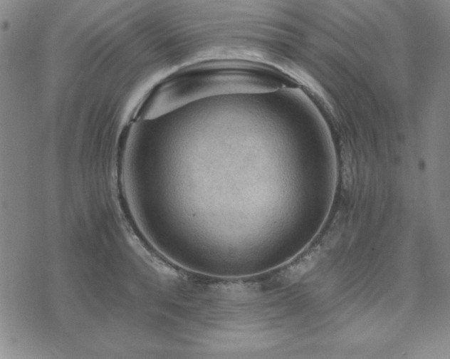 X0000073750896200608031426