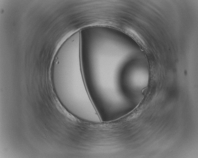 X0000073750900200608031426