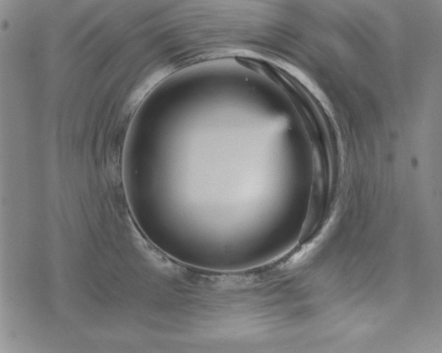 X0000073750905200608031426