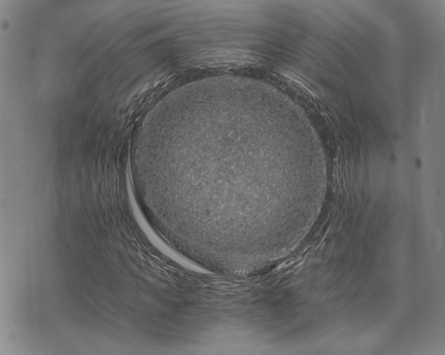 X0000073750917200608031425