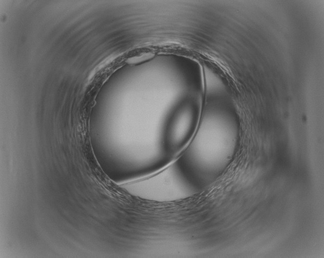 X0000073750920200608031425