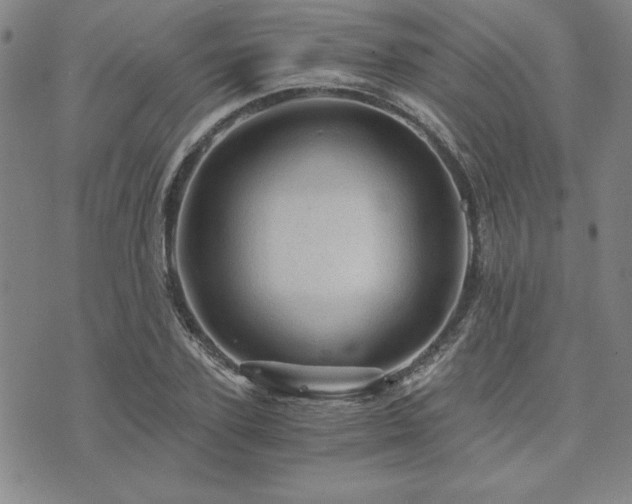 X0000073750931200608031425