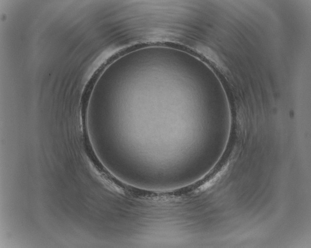 X0000073750934200608031425