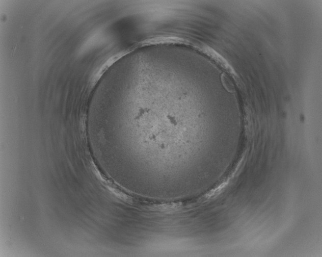 X0000073750937200608031426