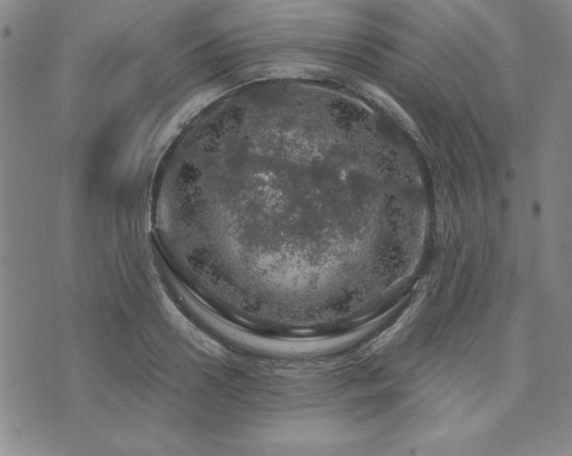 X0000073750938200608031426