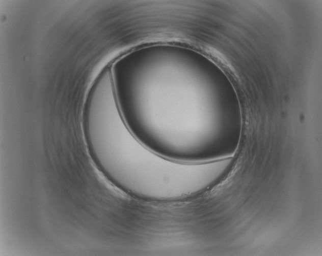 X0000073750942200608031426