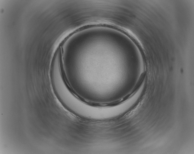 X0000073750943200608031426