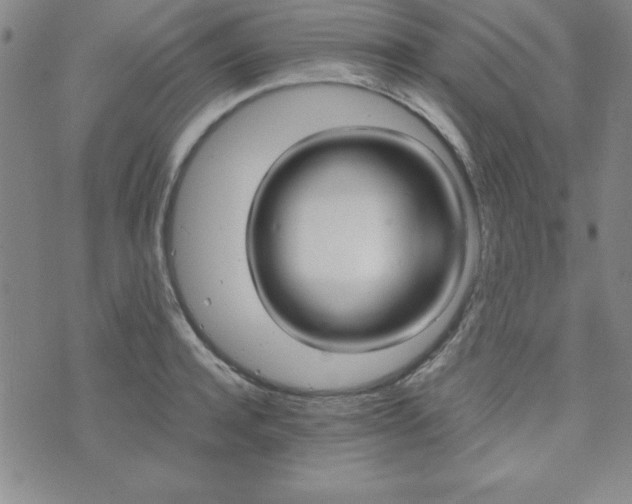 X0000073750944200608031426