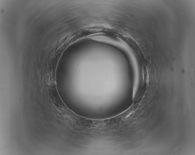 X0000073750965200608031425