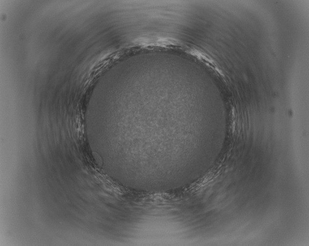 X0000073750966200608031425