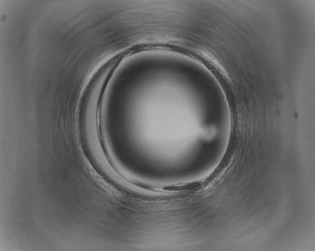 X0000073750976200608031425