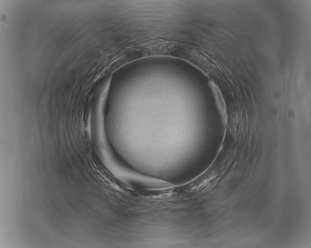 X0000073751010200608031424