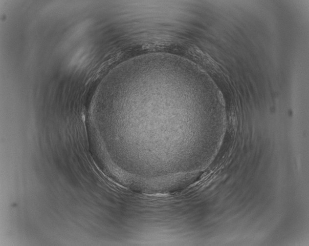 X0000073751012200608031424