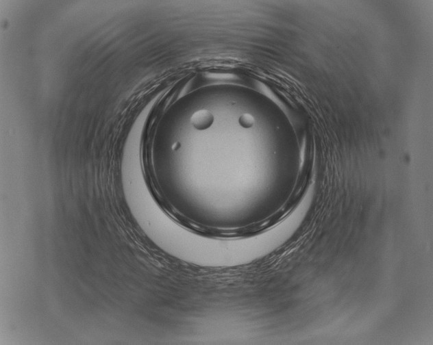 X0000073751014200608031424