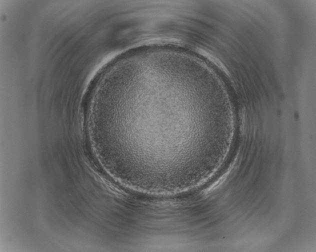 X0000073751021200608031424