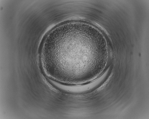 X0000073751029200608031424