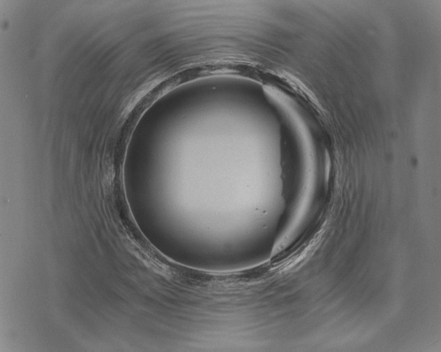 X0000073751065200608031423