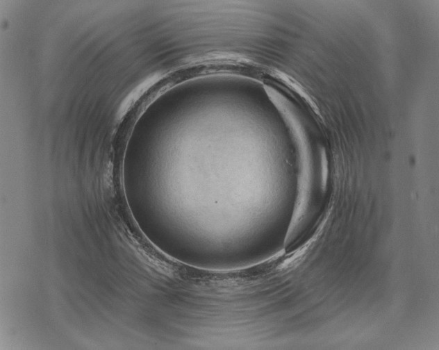 X0000073751066200608031423