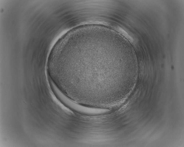 X0000073751084200608031423