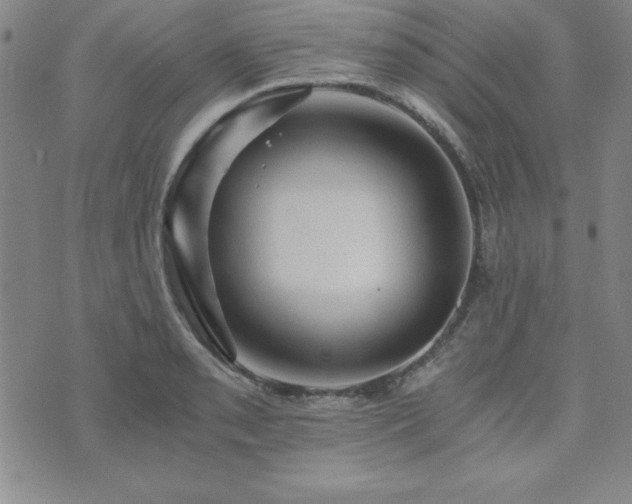 X0000073751085200608031423