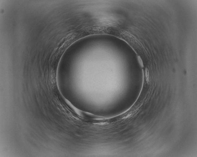 X0000073751107200608031422