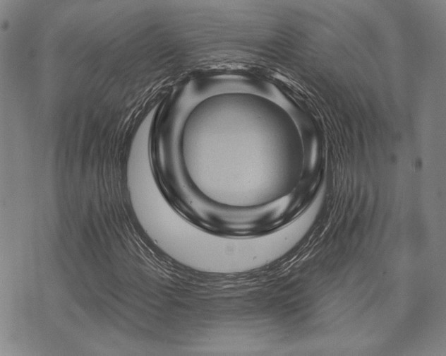 X0000073751108200608031422
