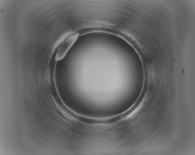 X0000073751114200608031422