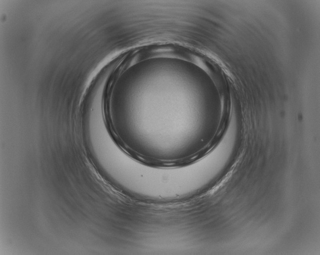 X0000073751118200608031422