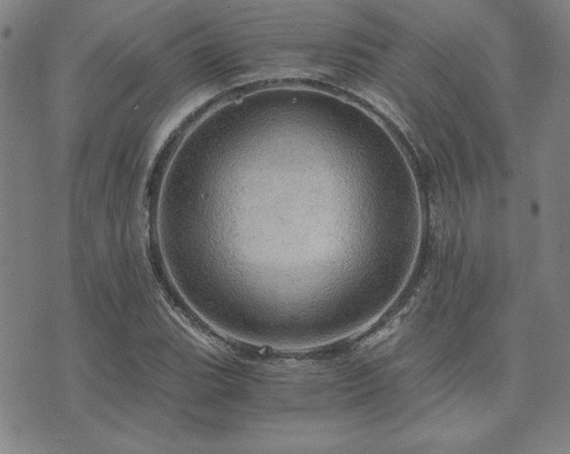 X0000073751119200608031422