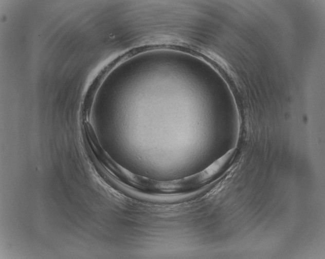 X0000073751120200608031422